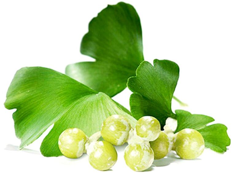 Ginkgo biloba leaves improve blood circulation in the penile tissues.