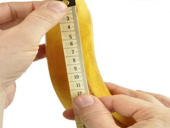 Penis size that can be increased through exercise.